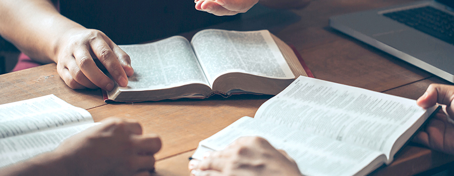 A Beginner's Guide to Reading the Bible | Next Level Calling - Christian Business Fellowship